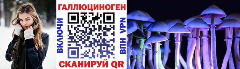 Галлюциногенные грибы GOLDEN TEACHER  Белый 